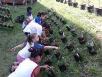 Divulga&ccedil;&atilde;o/Escola do Campo