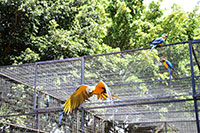 Secom/PMA