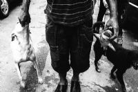 Eric Licen Santos 