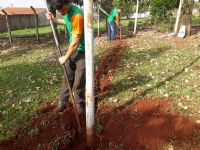 Secom/PMA